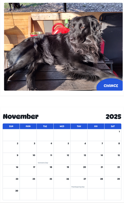July 2025 - June 2026 Chance - Pawidols Pet Calendar