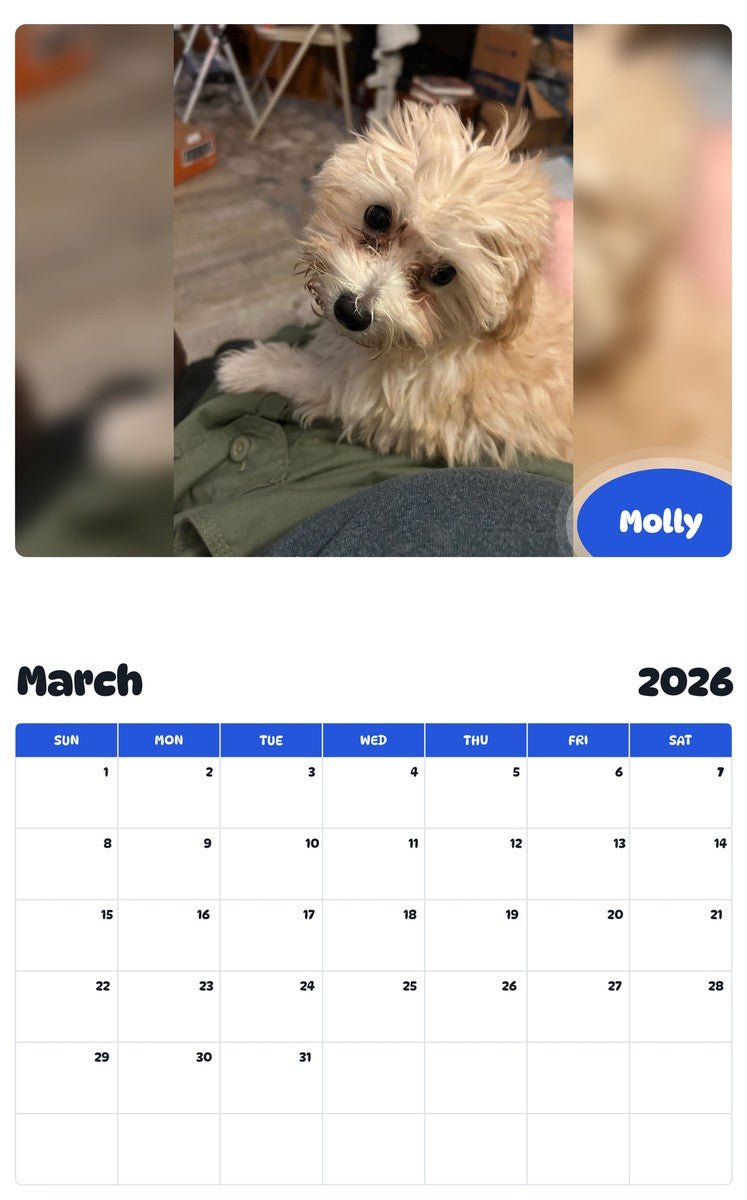 November 2025 - October 2026 Molly - Pawidols Pet Calendar