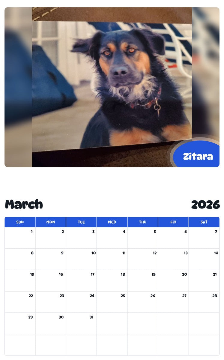 November 2025 - October 2026 Zitara - Pawidols Pet Calendar