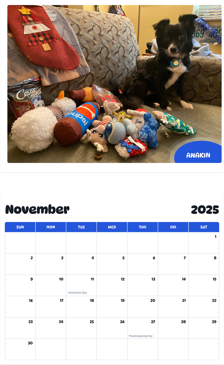 July 2025 - June 2026 Anakin - Pawidols Pet Calendar