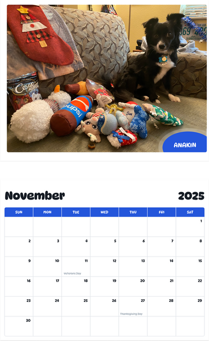 July 2025 - June 2026 Anakin - Pawidols Pet Calendar