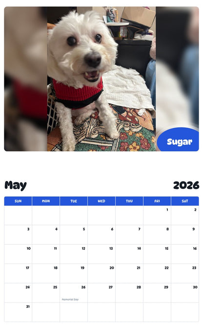 2026 - 2027 Sugar - Pawidols Pet Calendar