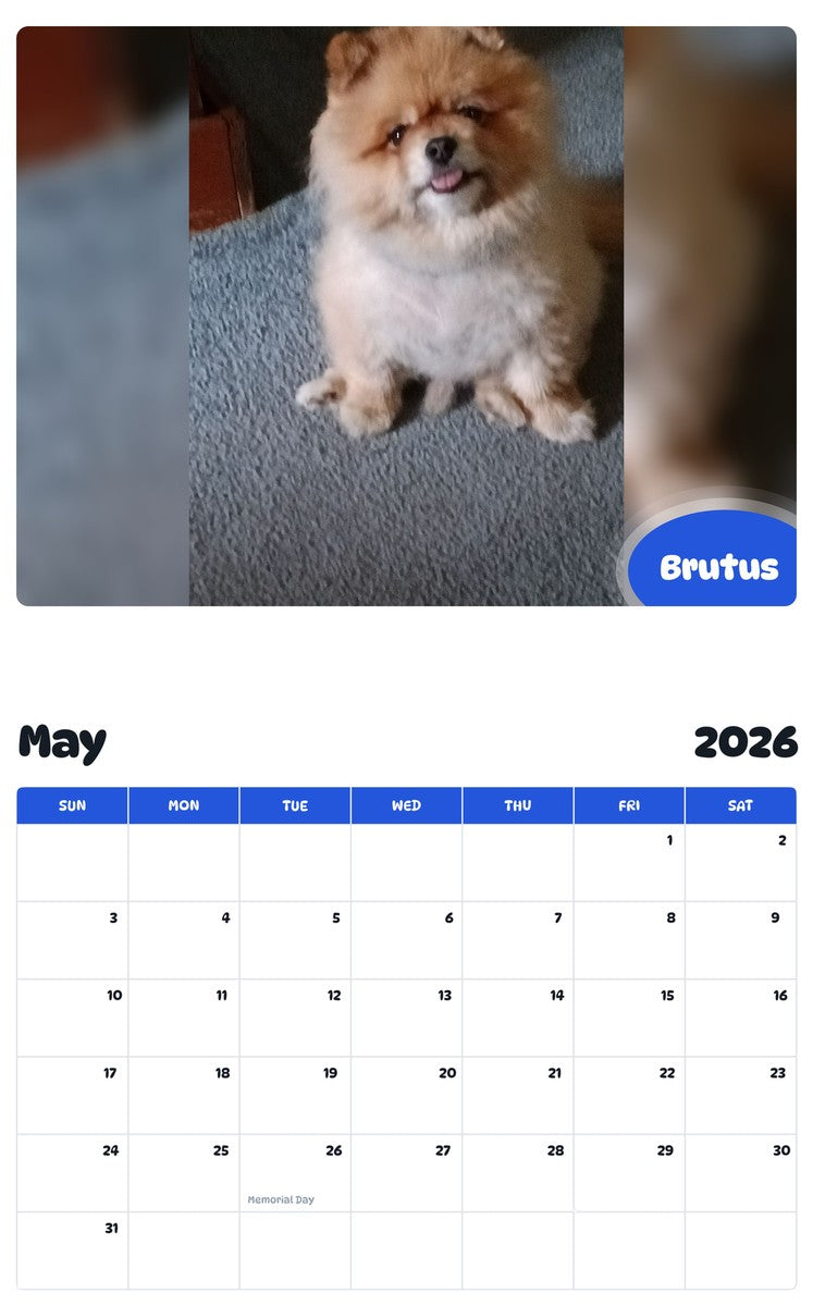 2026 - 2027 Brutus - Pawidols Pet Calendar
