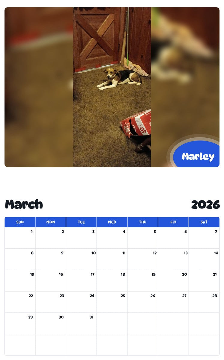 November 2025 - October 2026 Marley - Pawidols Pet Calendar