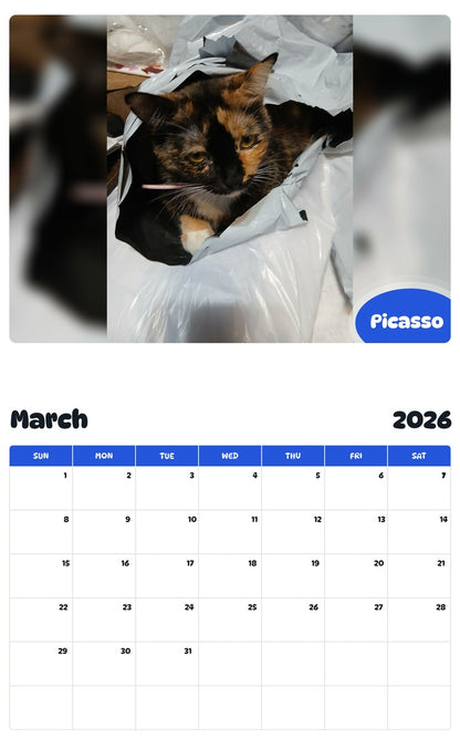 November 2025 - October 2026 Picasso - Pawidols Pet Calendar
