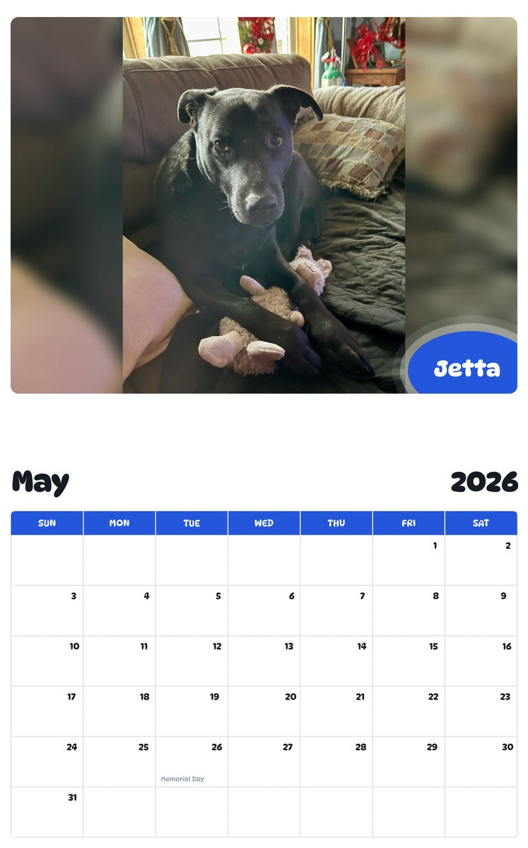 2026 - 2027 Jetta - Pawidols Pet Calendar