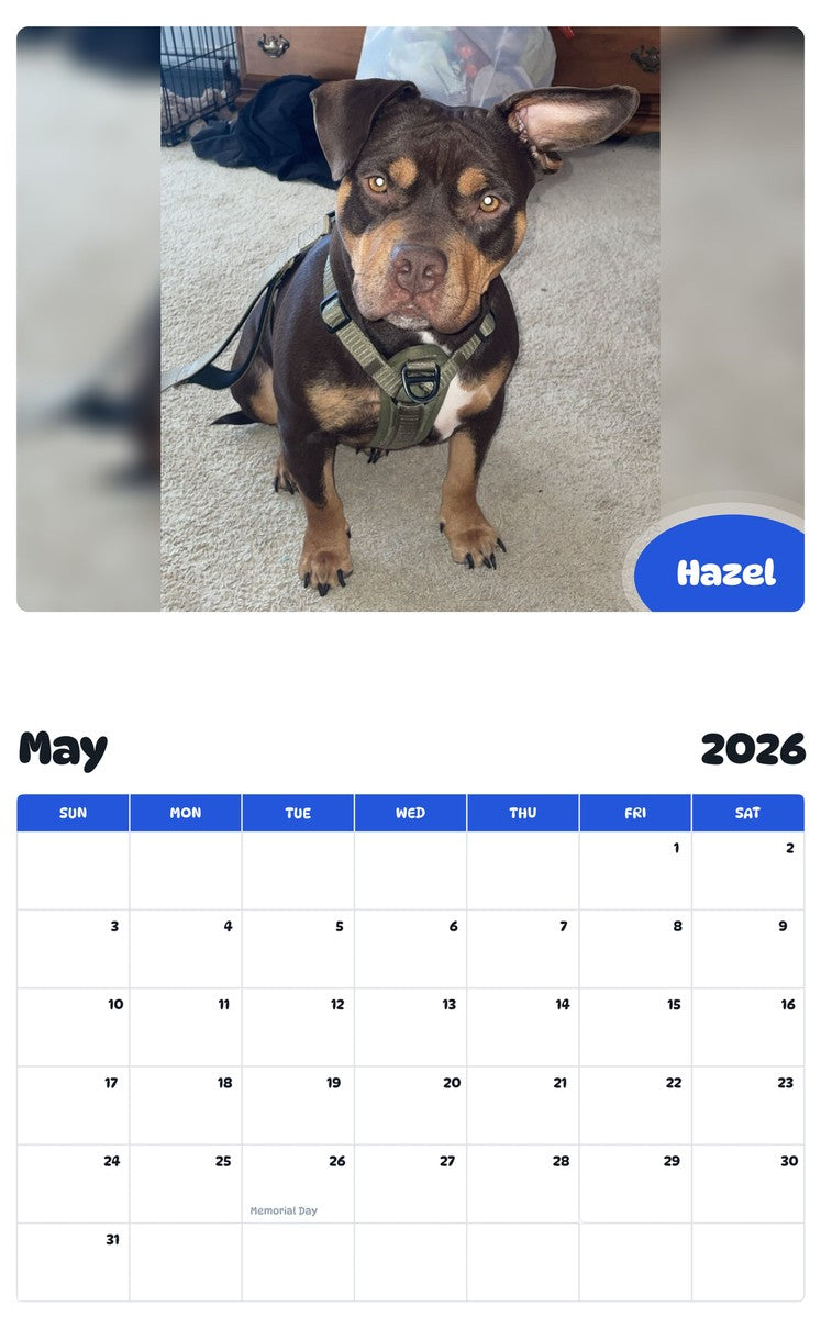 2026 - 2027 Hazel - Pawidols Pet Calendar