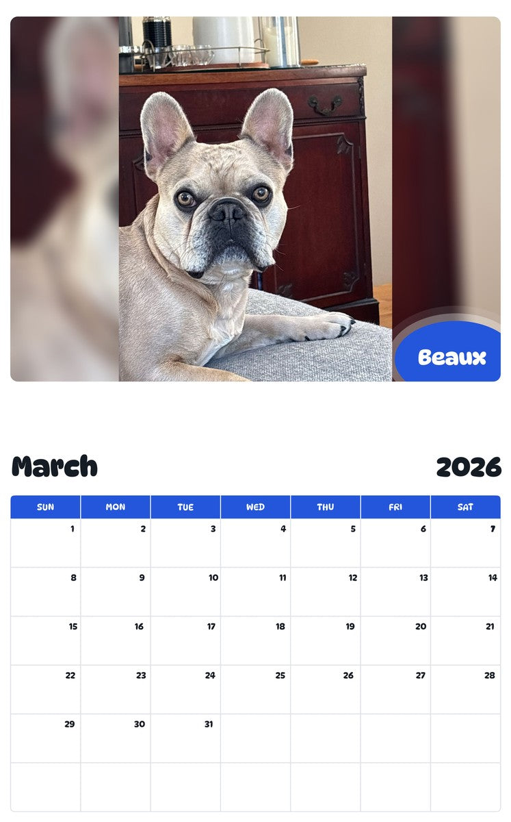 November 2025 - October 2026 Beaux - Pawidols Pet Calendar