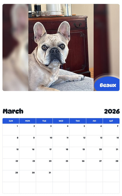 November 2025 - October 2026 Beaux - Pawidols Pet Calendar