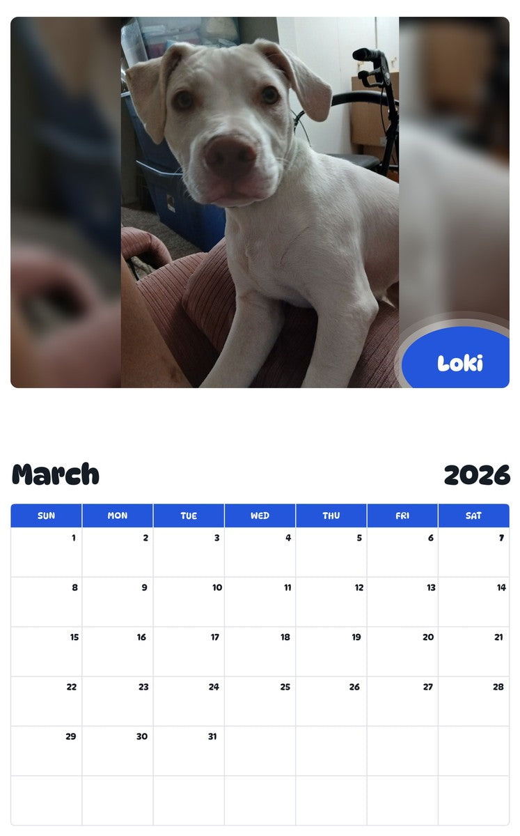 November 2025 - October 2026 Loki - Pawidols Pet Calendar