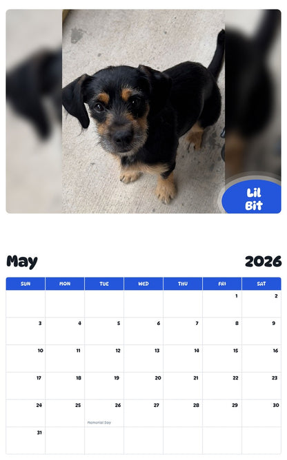 2026 - 2027 Lil Bit - Pawidols Pet Calendar