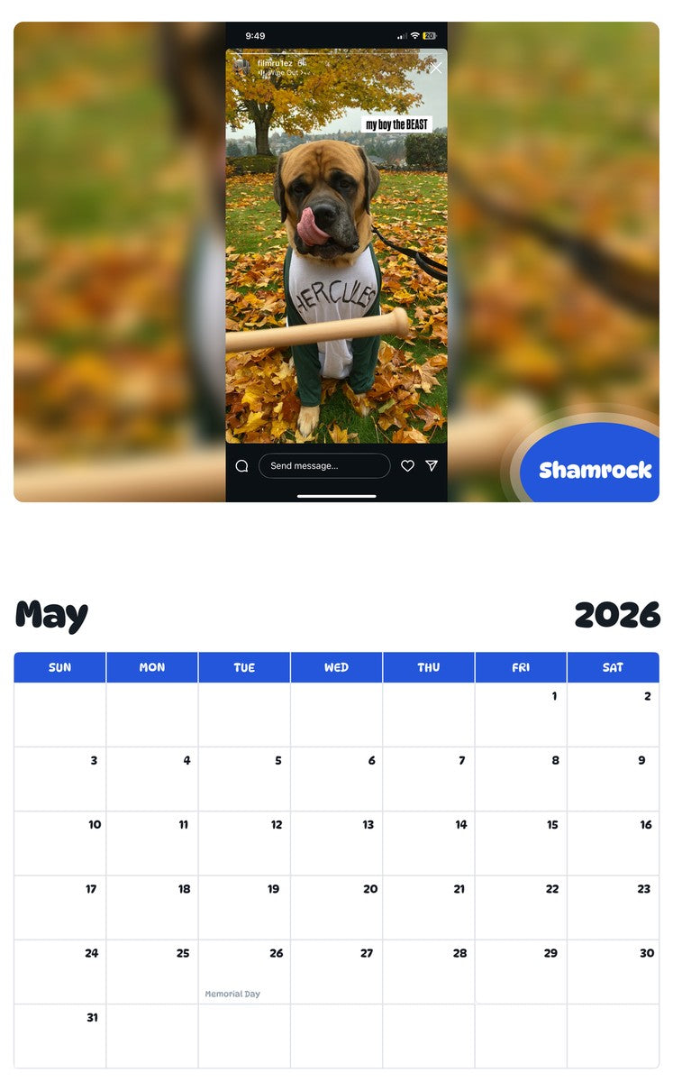 2026 - 2027 Shamrock - Pawidols Pet Calendar