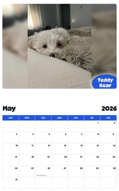 2026 - 2027 Teddy Bear - Pawidols Pet Calendar