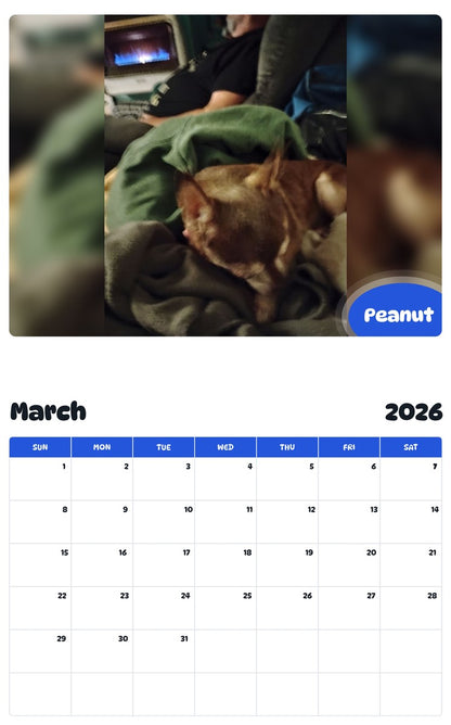 November 2025 - October 2026 Peanut - Pawidols Pet Calendar