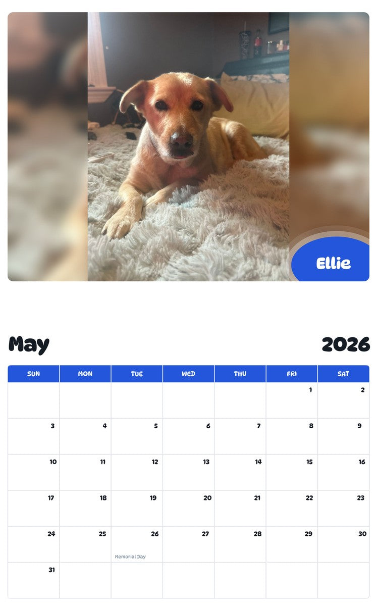 2026 - 2027 Ellie - Pawidols Pet Calendar