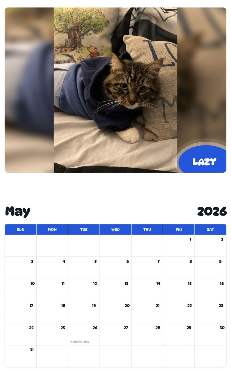 2026 - 2027 LAZY - Pawidols Pet Calendar