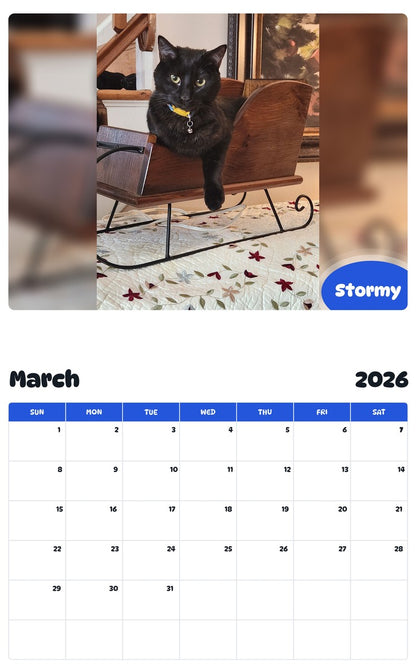 November 2025 - October 2026 Stormy - Pawidols Pet Calendar