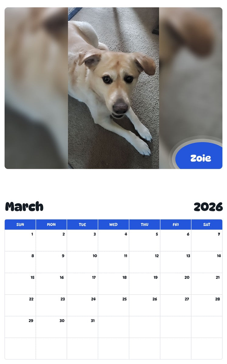 November 2025 - October 2026 Zoie - Pawidols Pet Calendar