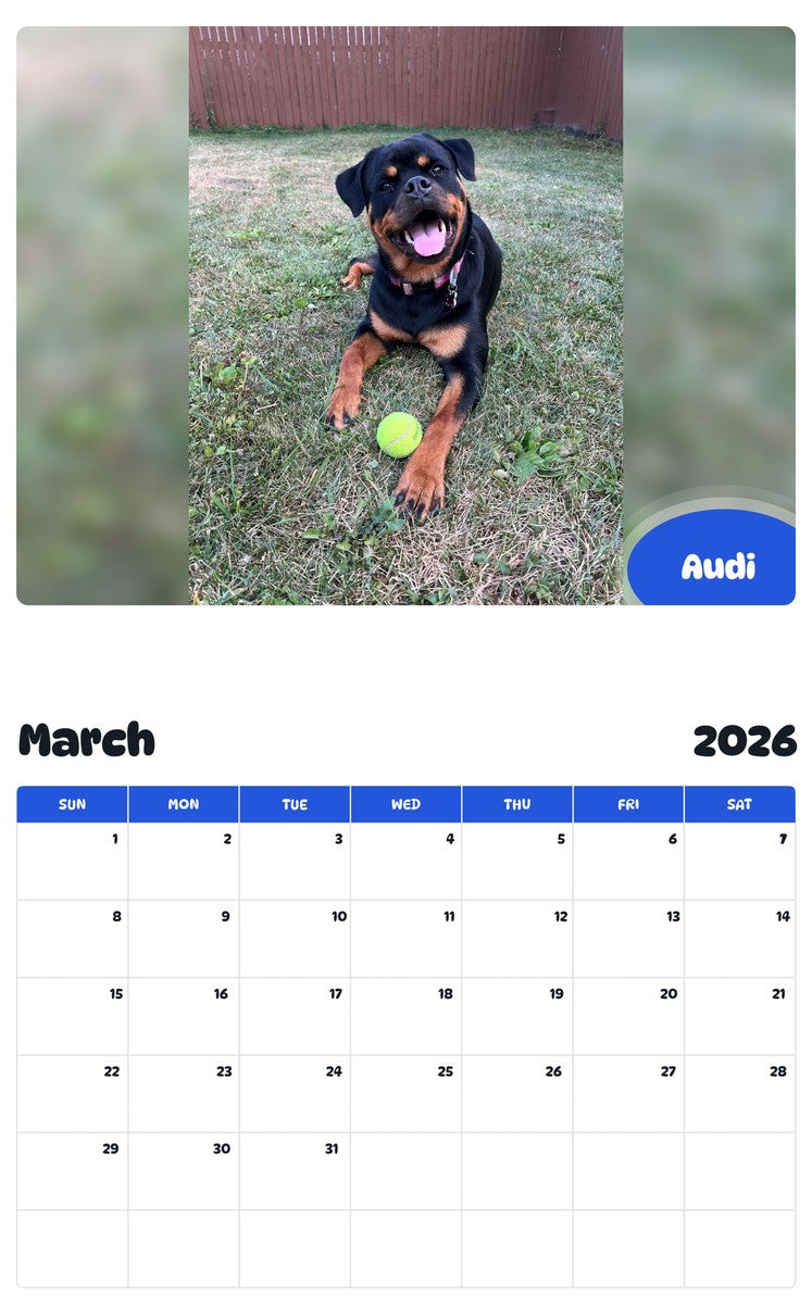November 2025 - October 2026 Audi - Pawidols Pet Calendar