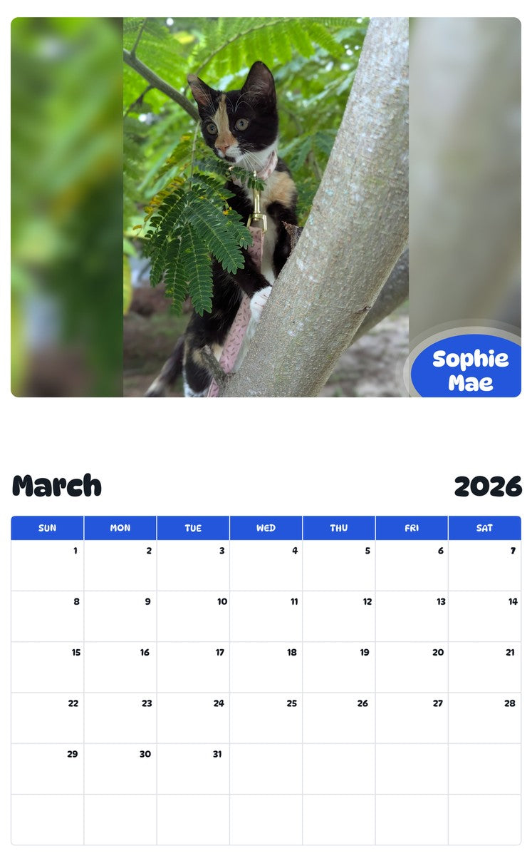 November 2025 - October 2026 Sophie Mae - Pawidols Pet Calendar