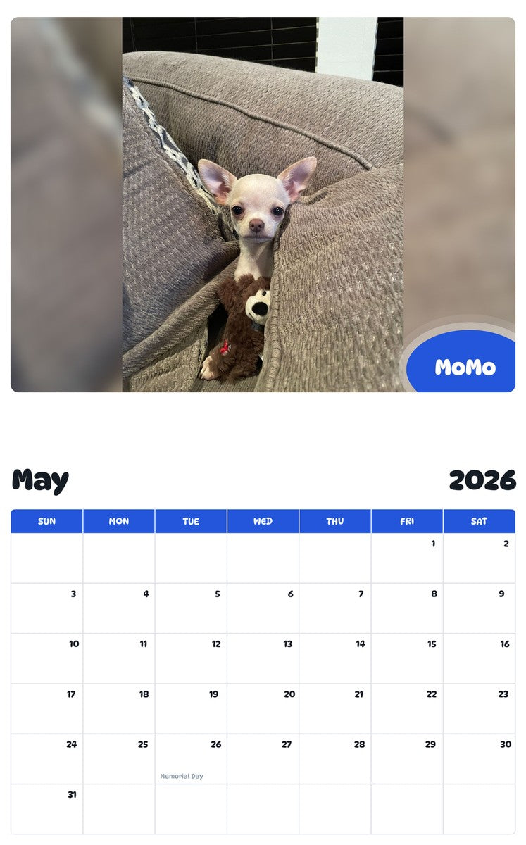 2026 - 2027 MoMo - Pawidols Pet Calendar