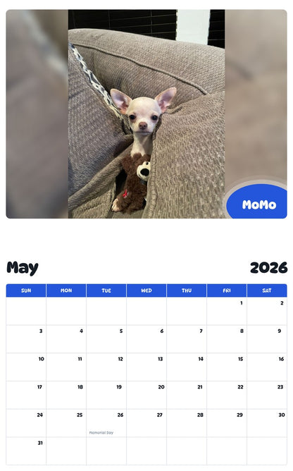 2026 - 2027 MoMo - Pawidols Pet Calendar