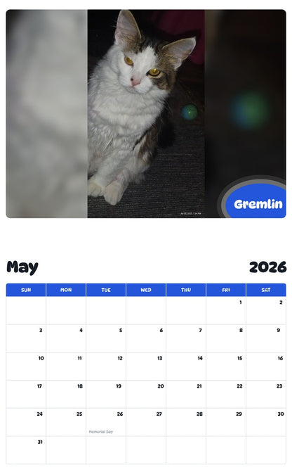 2026 - 2027 Gremlin - Pawidols Pet Calendar