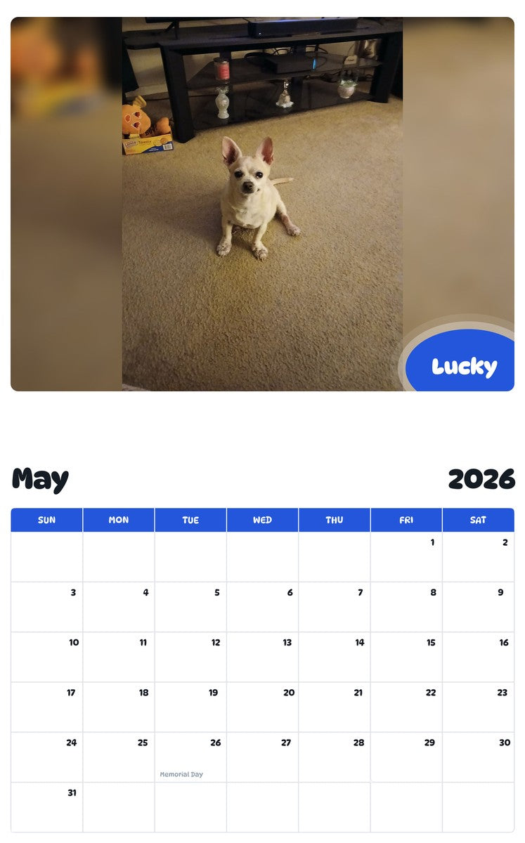 2026 - 2027 Lucky - Pawidols Pet Calendar