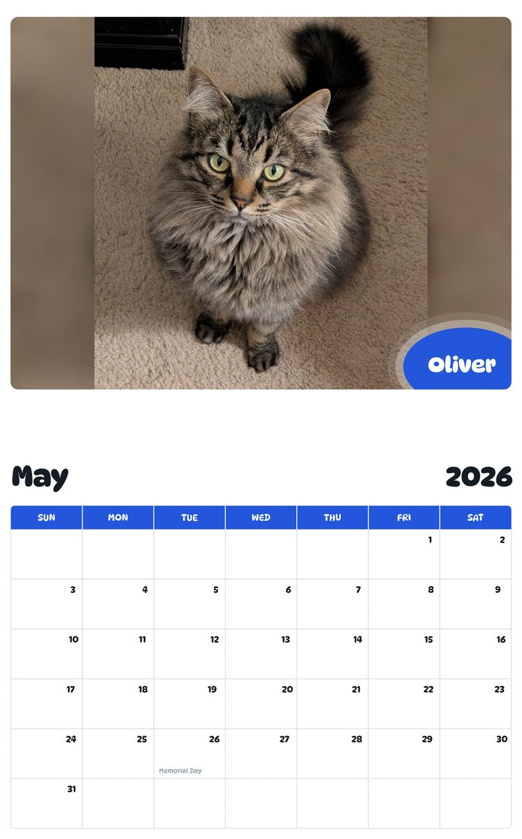 2026 - 2027 Oliver - Pawidols Pet Calendar