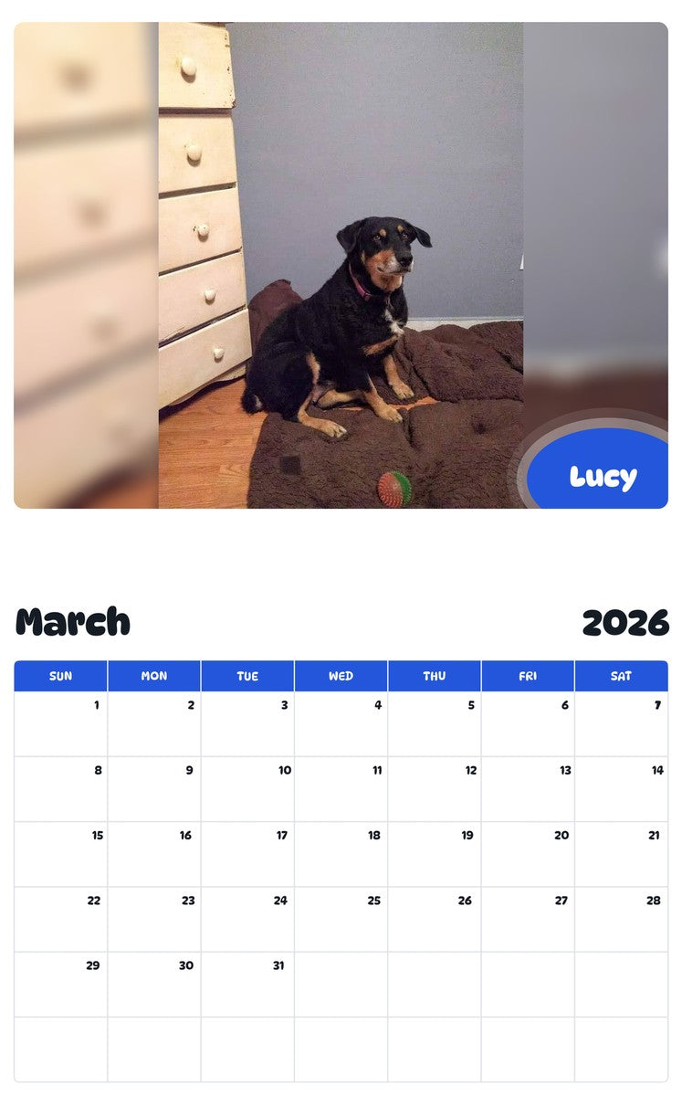 November 2025 - October 2026 Lucy - Pawidols Pet Calendar