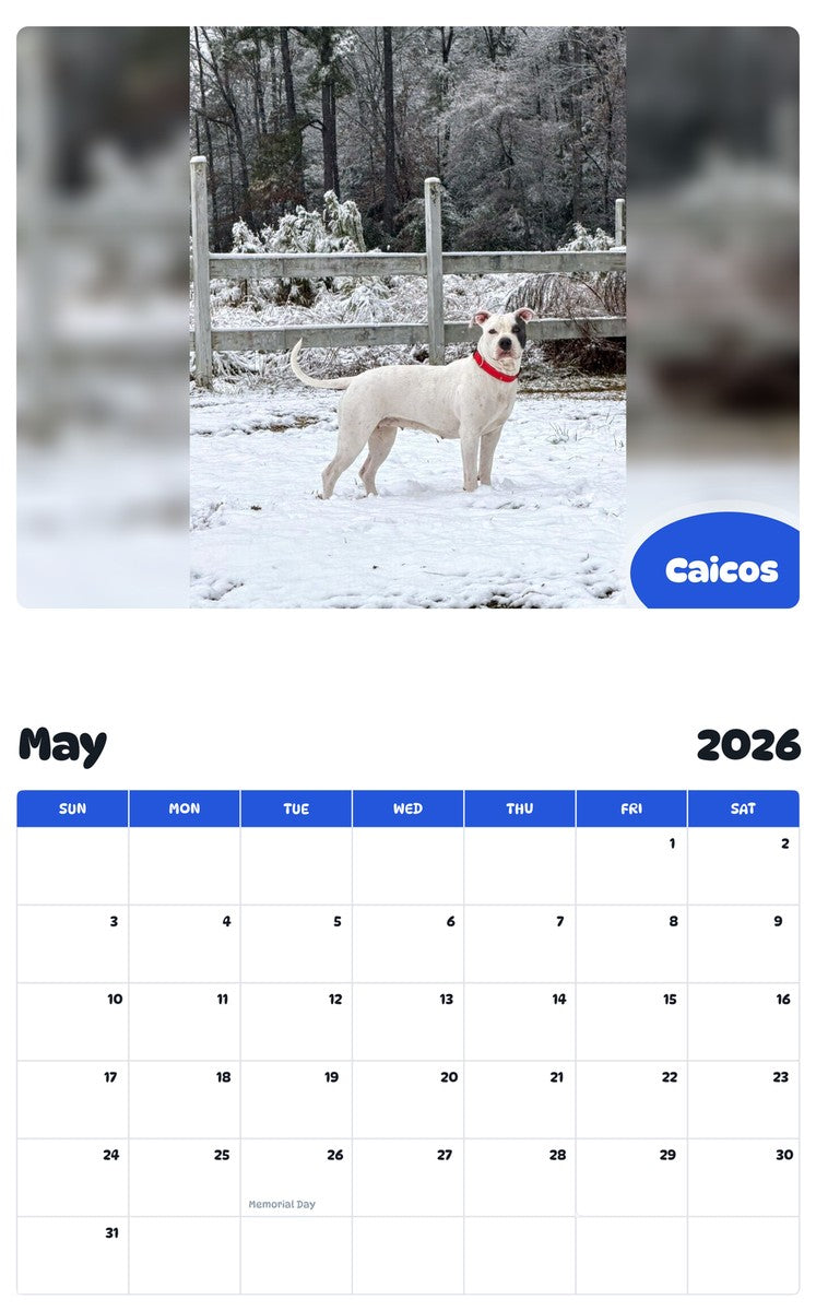 2026 - 2027 Caicos - Pawidols Pet Calendar