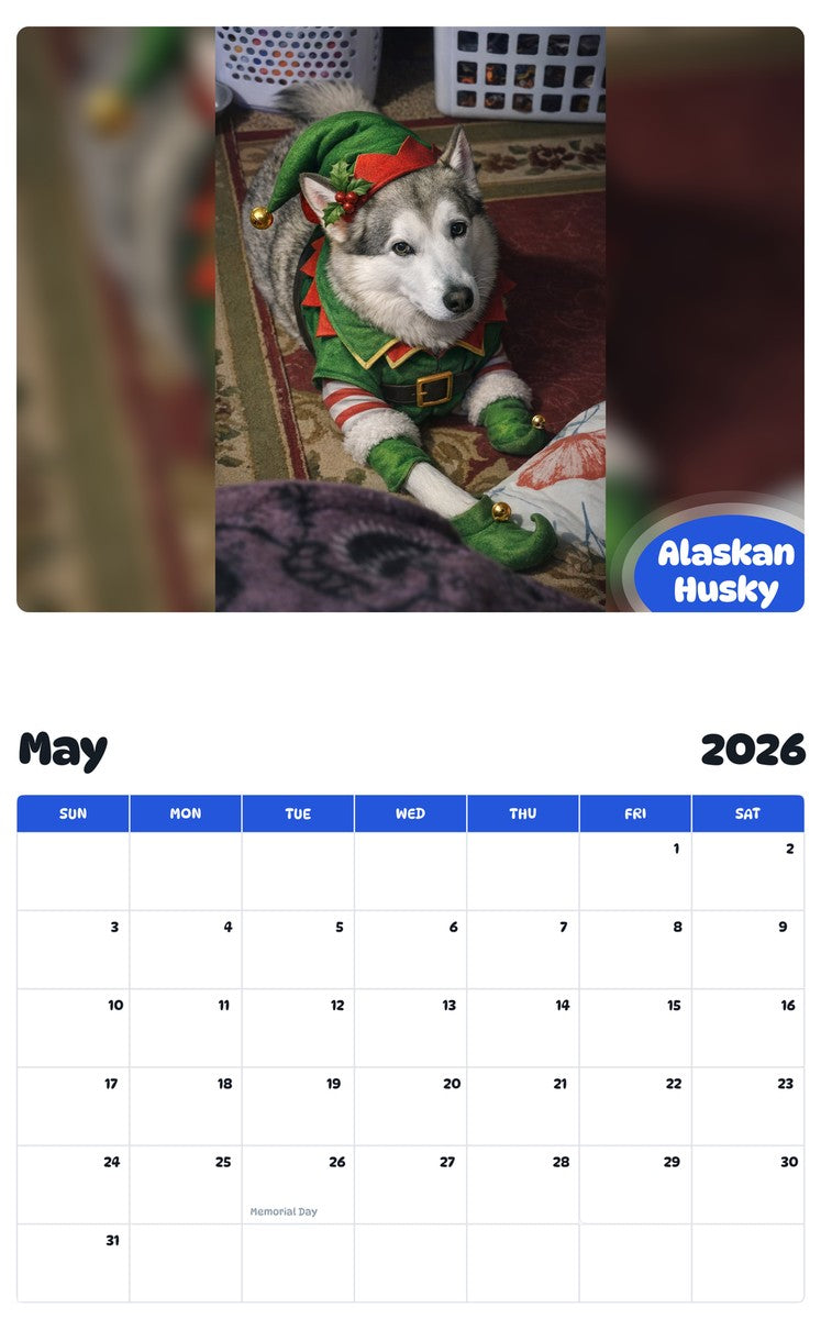 2026 - 2027 Alaskan Husky - Pawidols Pet Calendar