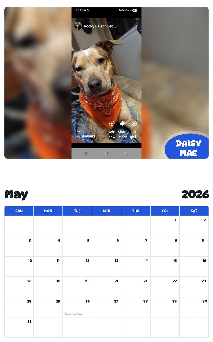 2026 - 2027 DAISY MAE - Pawidols Pet Calendar