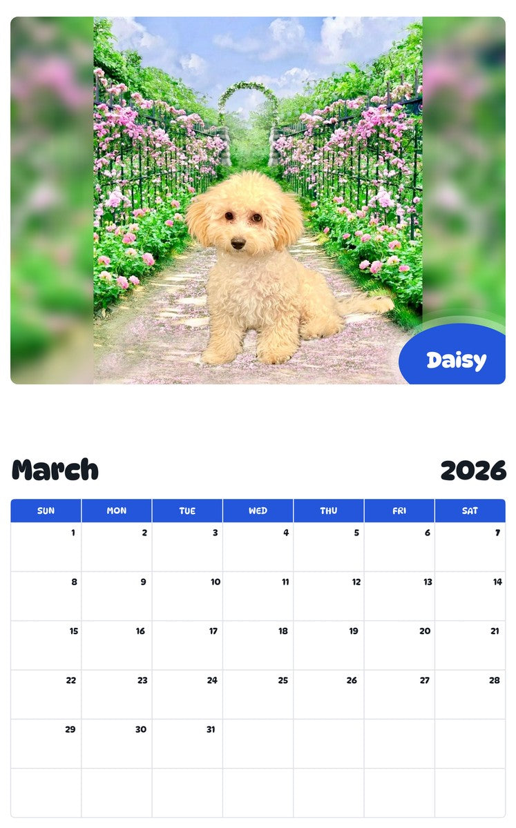 November 2025 - October 2026 Daisy - Pawidols Pet Calendar