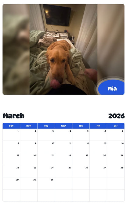 November 2025 - October 2026 Mia - Pawidols Pet Calendar