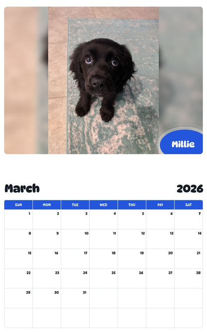 November 2025 - October 2026 Millie - Pawidols Pet Calendar