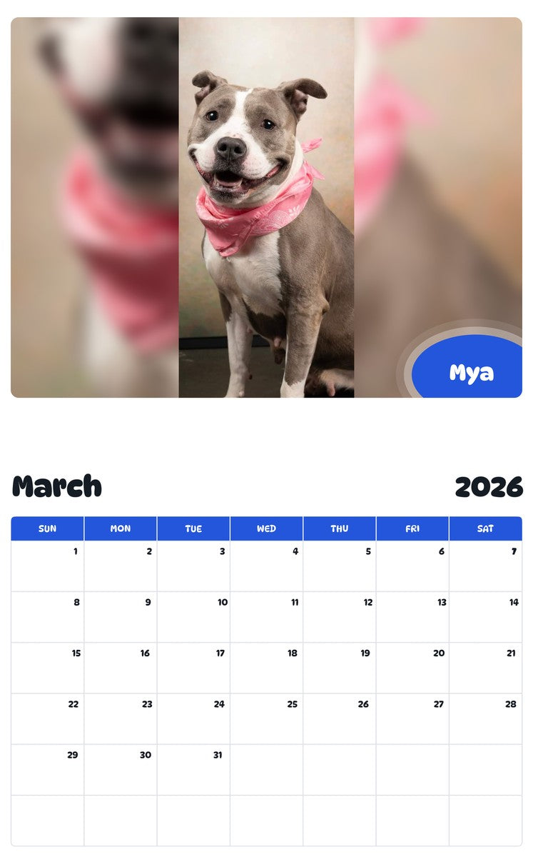 November 2025 - October 2026 Mya - Pawidols Pet Calendar