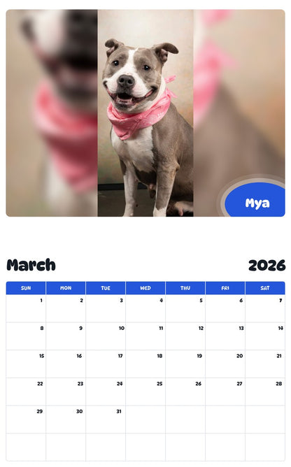 November 2025 - October 2026 Mya - Pawidols Pet Calendar
