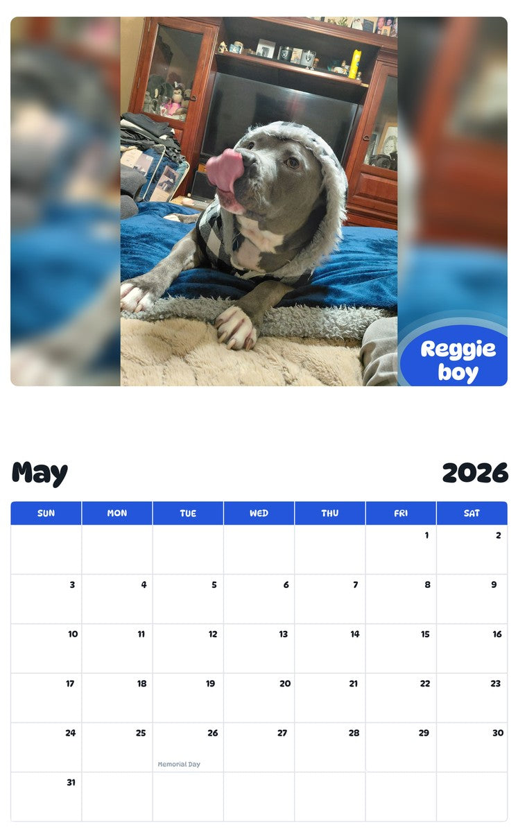 2026 - 2027 Reggie boy - Pawidols Pet Calendar