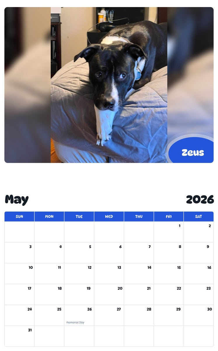 2026 - 2027 Zeus - Pawidols Pet Calendar
