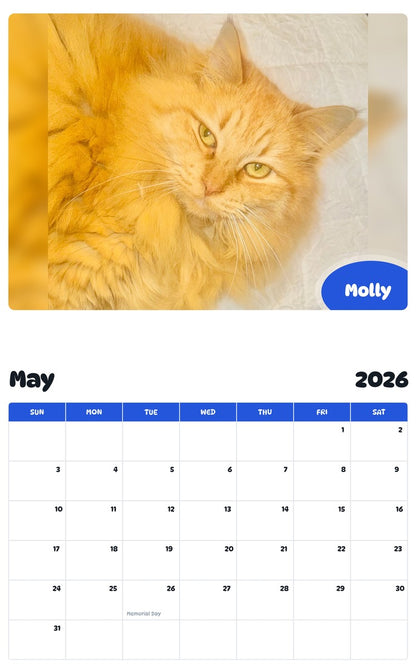 2026 - 2027 Molly - Pawidols Pet Calendar