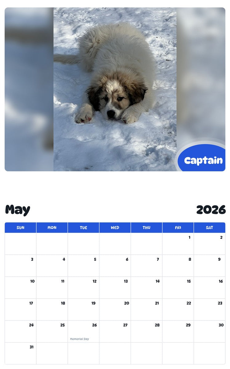 2026 - 2027 Captain - Pawidols Pet Calendar