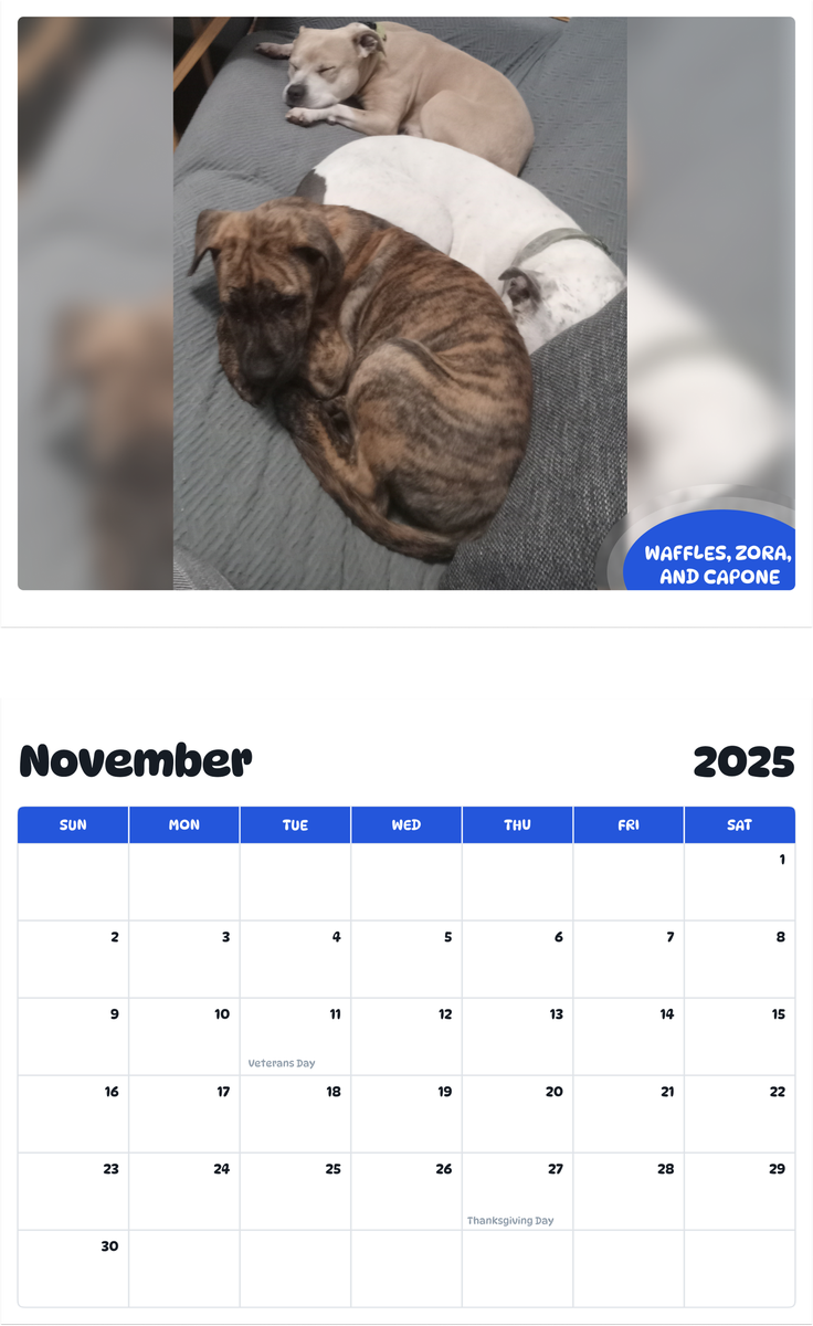 July 2025 - June 2026 waffles, Zora, and capone - Pawidols Pet Calendar
