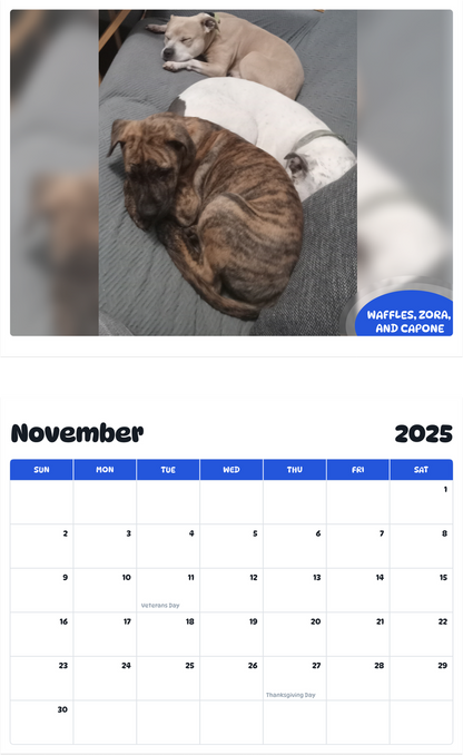 July 2025 - June 2026 waffles, Zora, and capone - Pawidols Pet Calendar
