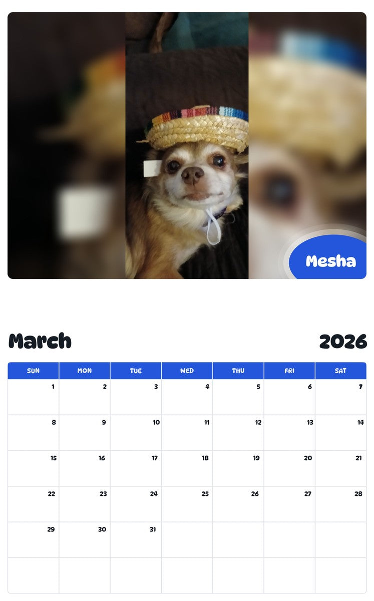 November 2025 - October 2026 Mesha - Pawidols Pet Calendar