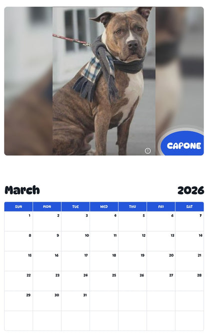 November 2025 - October 2026 CAPONE - Pawidols Pet Calendar