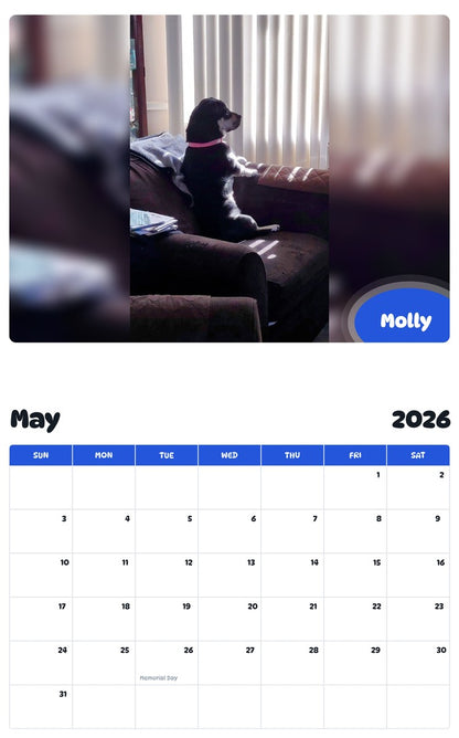 2026 - 2027 Molly - Pawidols Pet Calendar