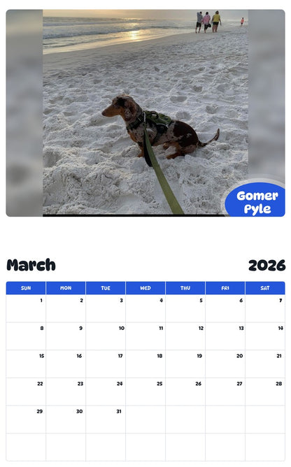 November 2025 - October 2026 Gomer Pyle - Pawidols Pet Calendar