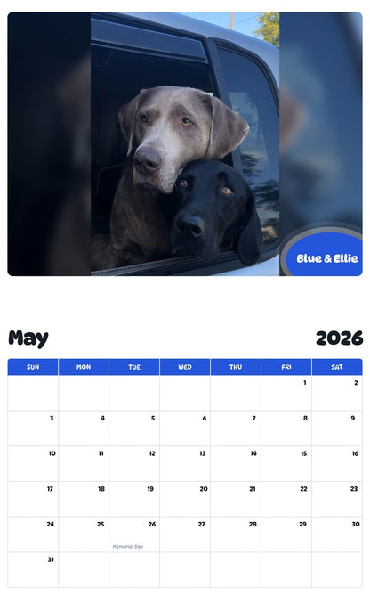 2026 - 2027 Blue & Ellie - Pawidols Pet Calendar