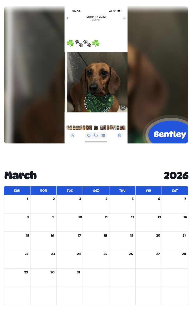November 2025 - October 2026 Bentley - Pawidols Pet Calendar